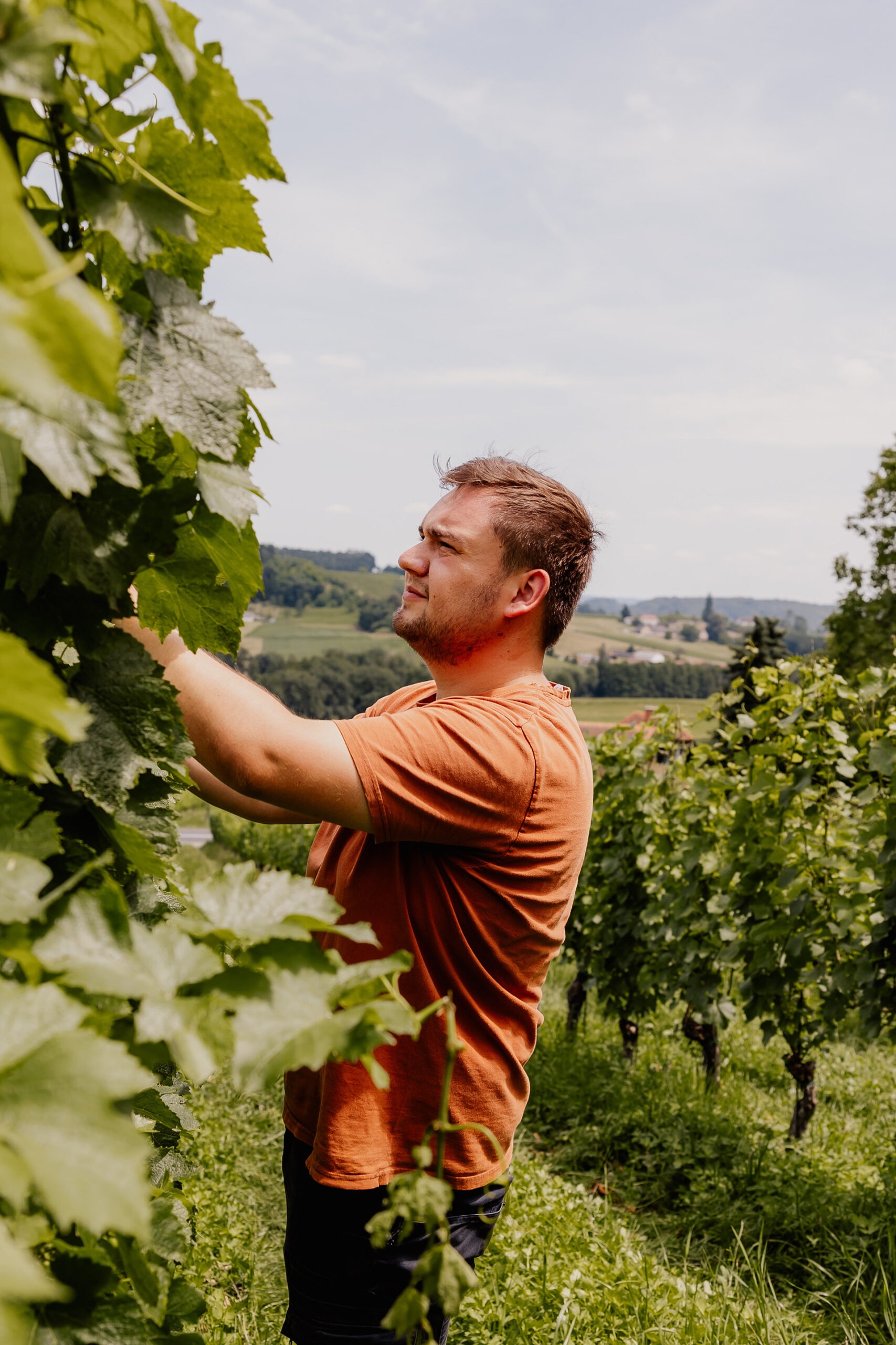 Sieme 2024 koerbler photo 133