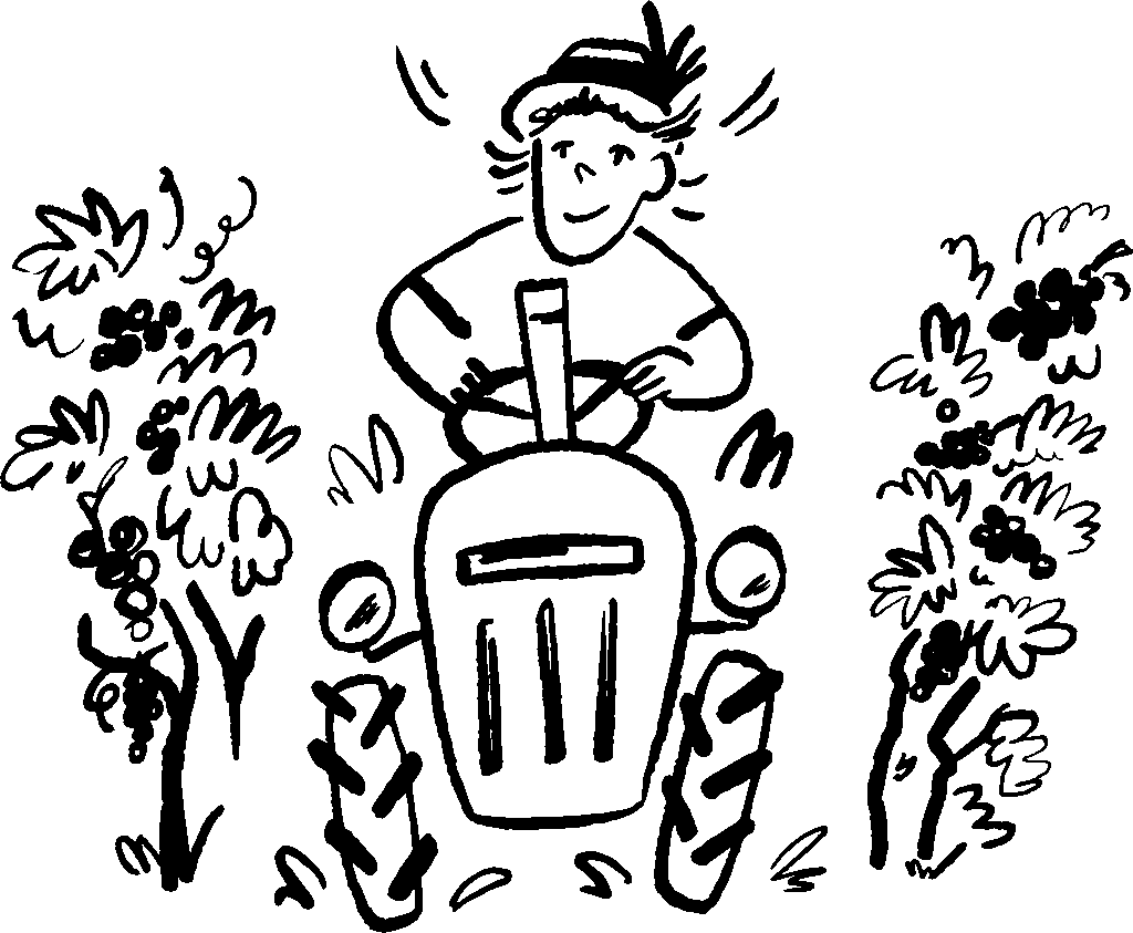 Sieme illustrationen rz 8 web