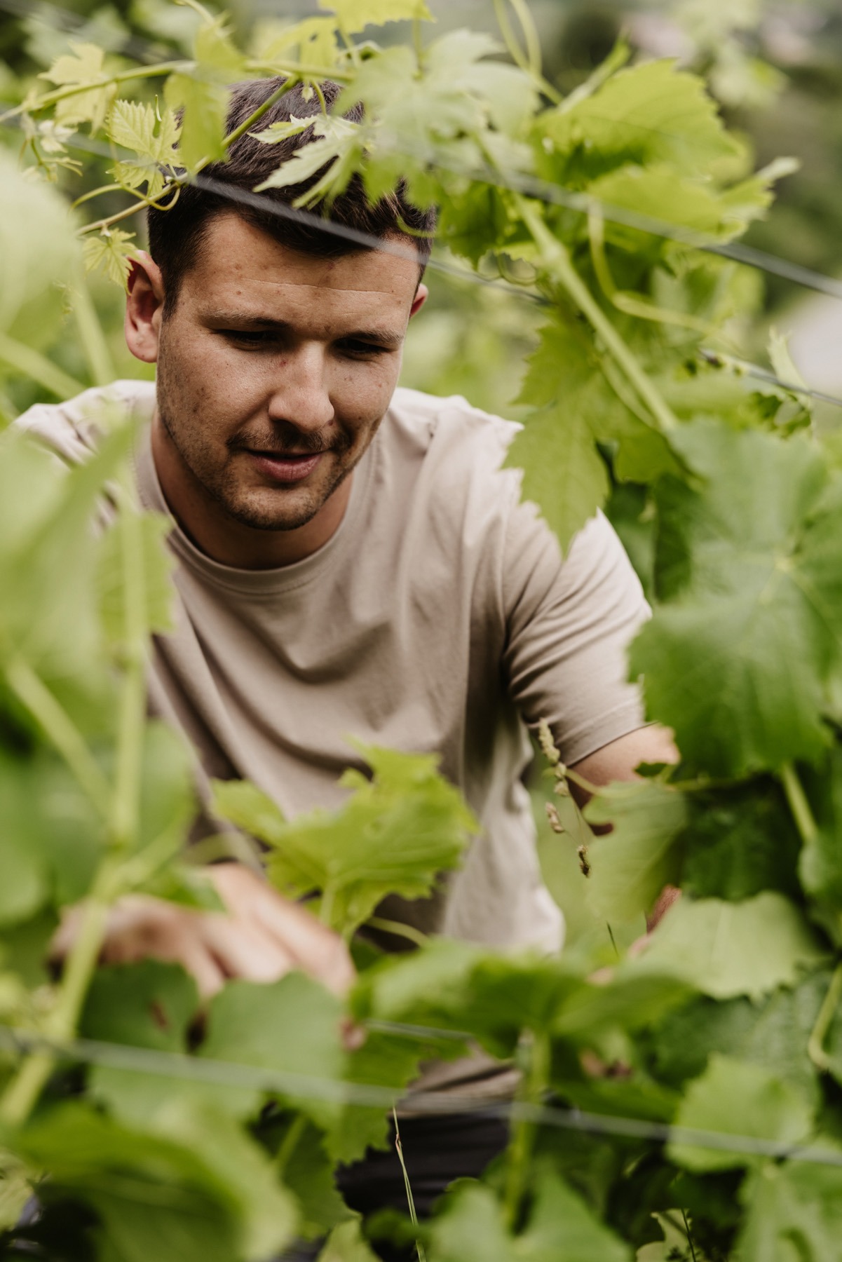 Sabathihof dillinger d2 simon fortmüller 76